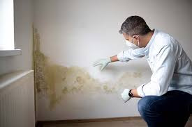 Best Asbestos and Lead Testing During Mold Inspection  in Ke Charles, LA